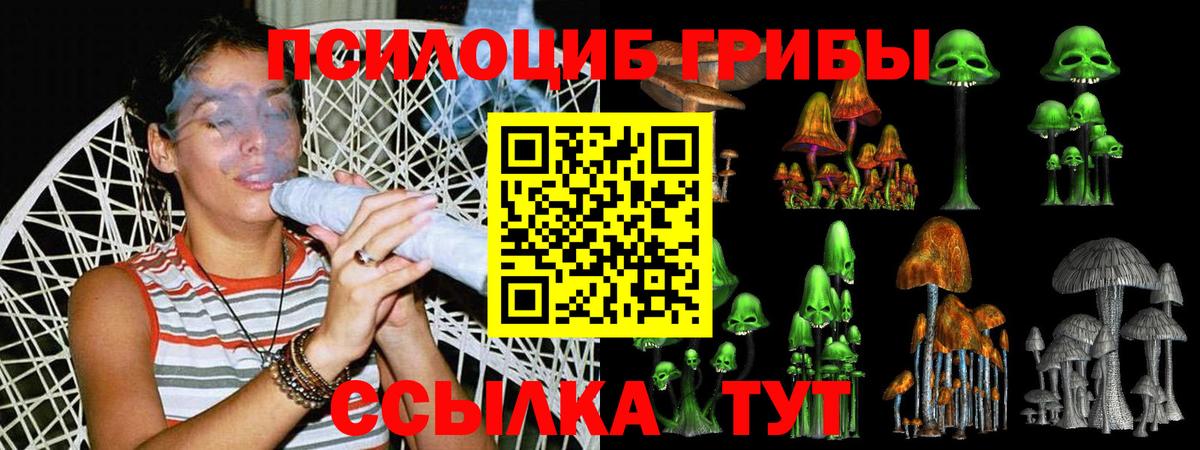 Псилоцибиновые грибы прущие грибы  Вход с VPN  Кыштым  Галлюциногенные грибы Psilocybine cubensis 